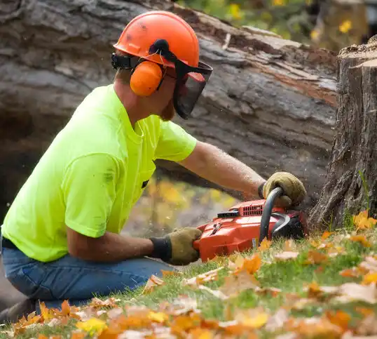 tree services Watford City